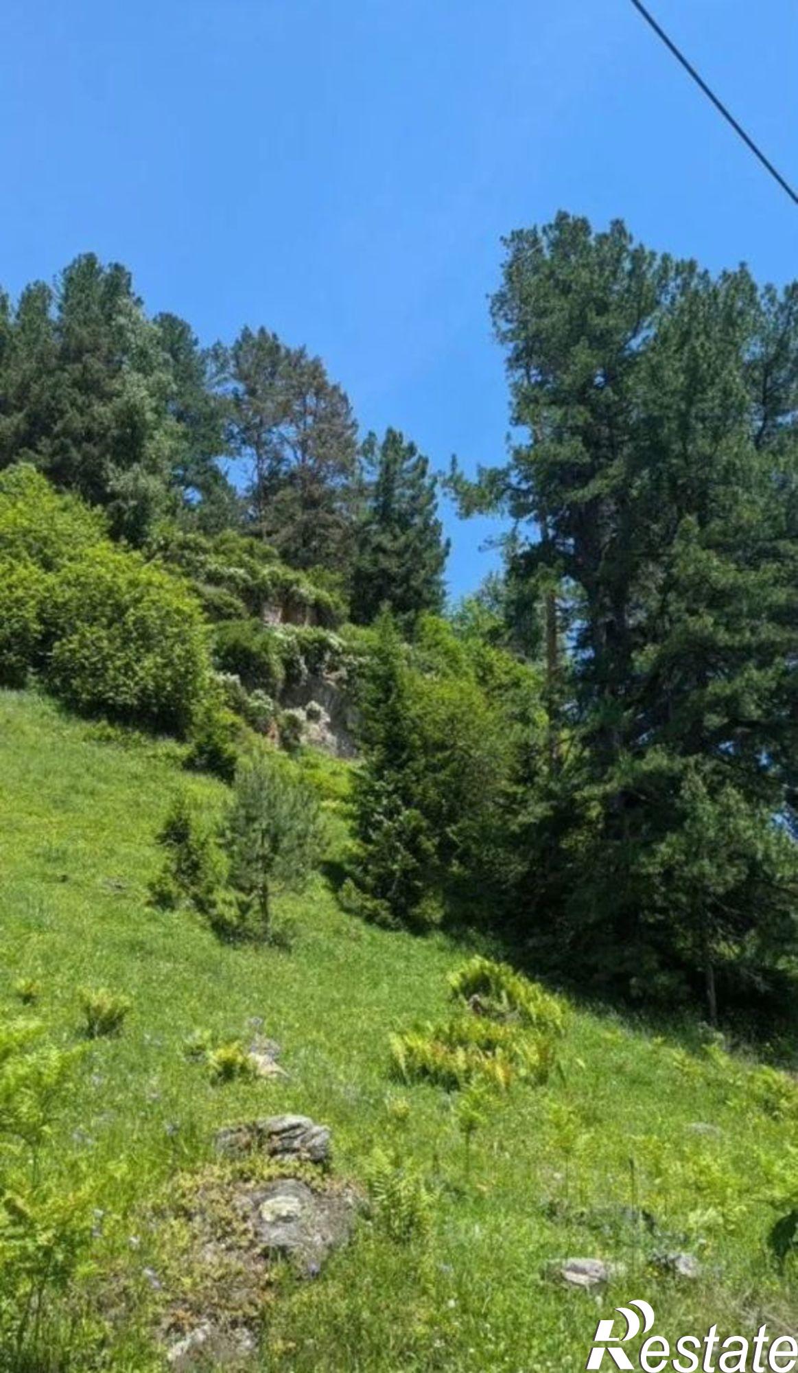 Купить землю, земельный участок за 4 600 000 рублей на Турочакский район