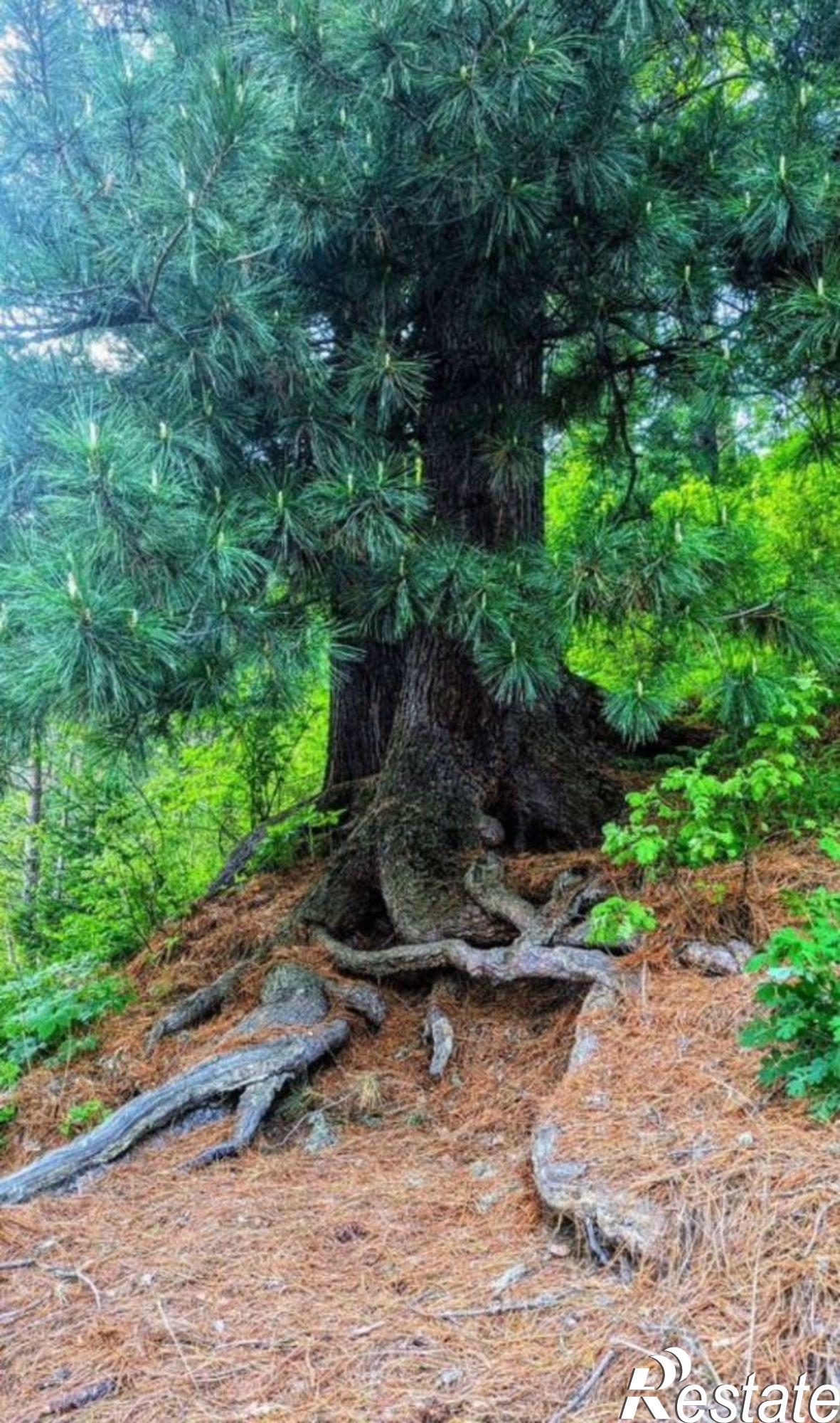 Купить землю, земельный участок за 4 600 000 рублей на Турочакский район