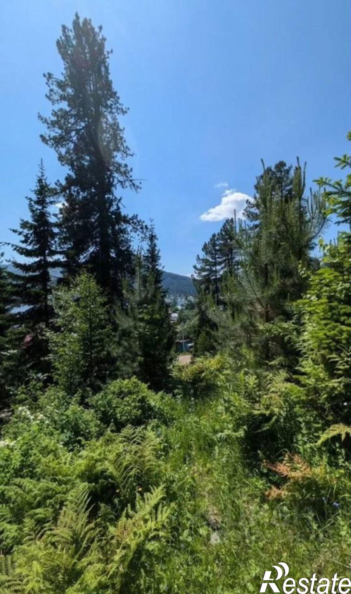 Купить землю, земельный участок за 4 600 000 рублей на Турочакский район