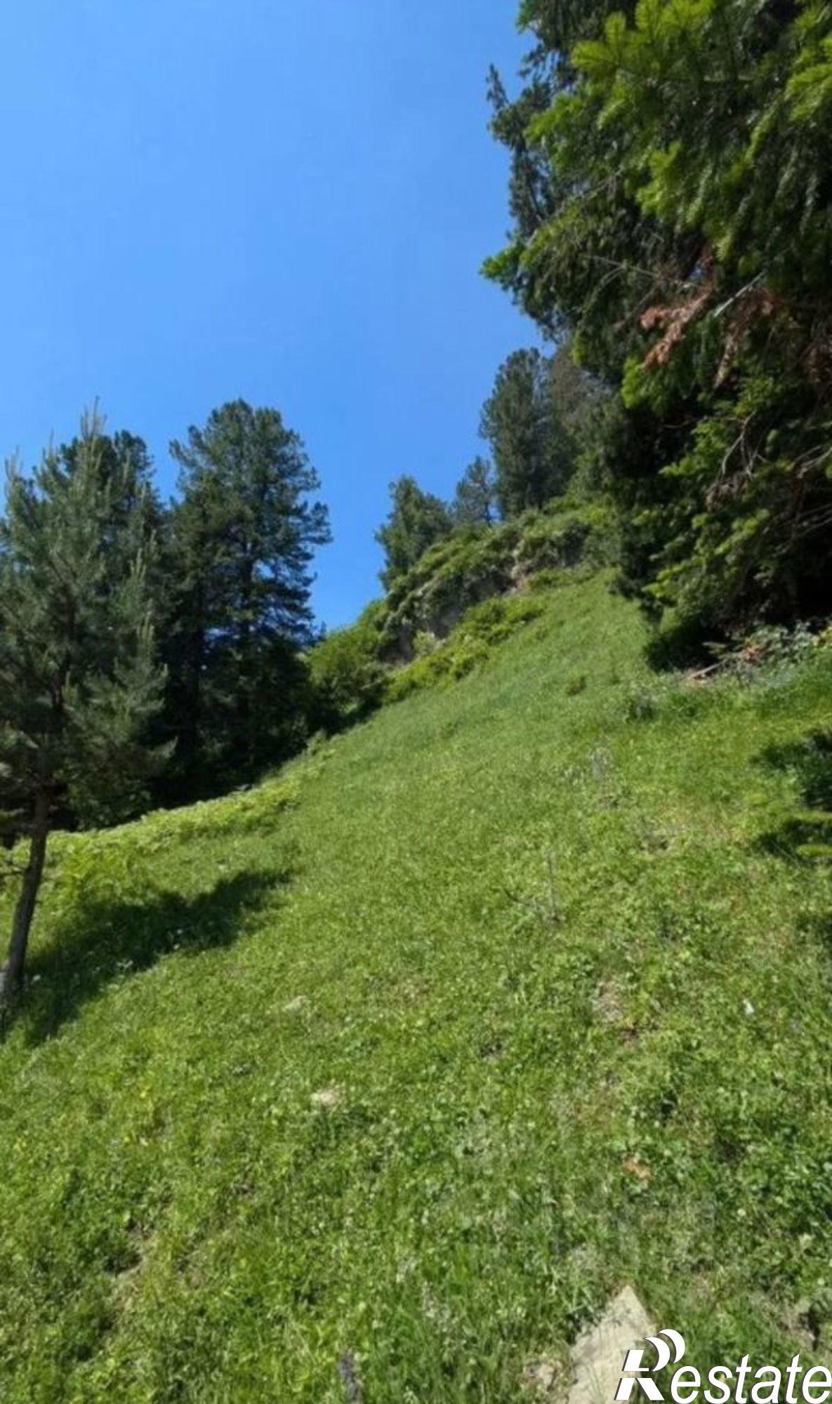 Купить землю, земельный участок за 4 600 000 рублей на Турочакский район