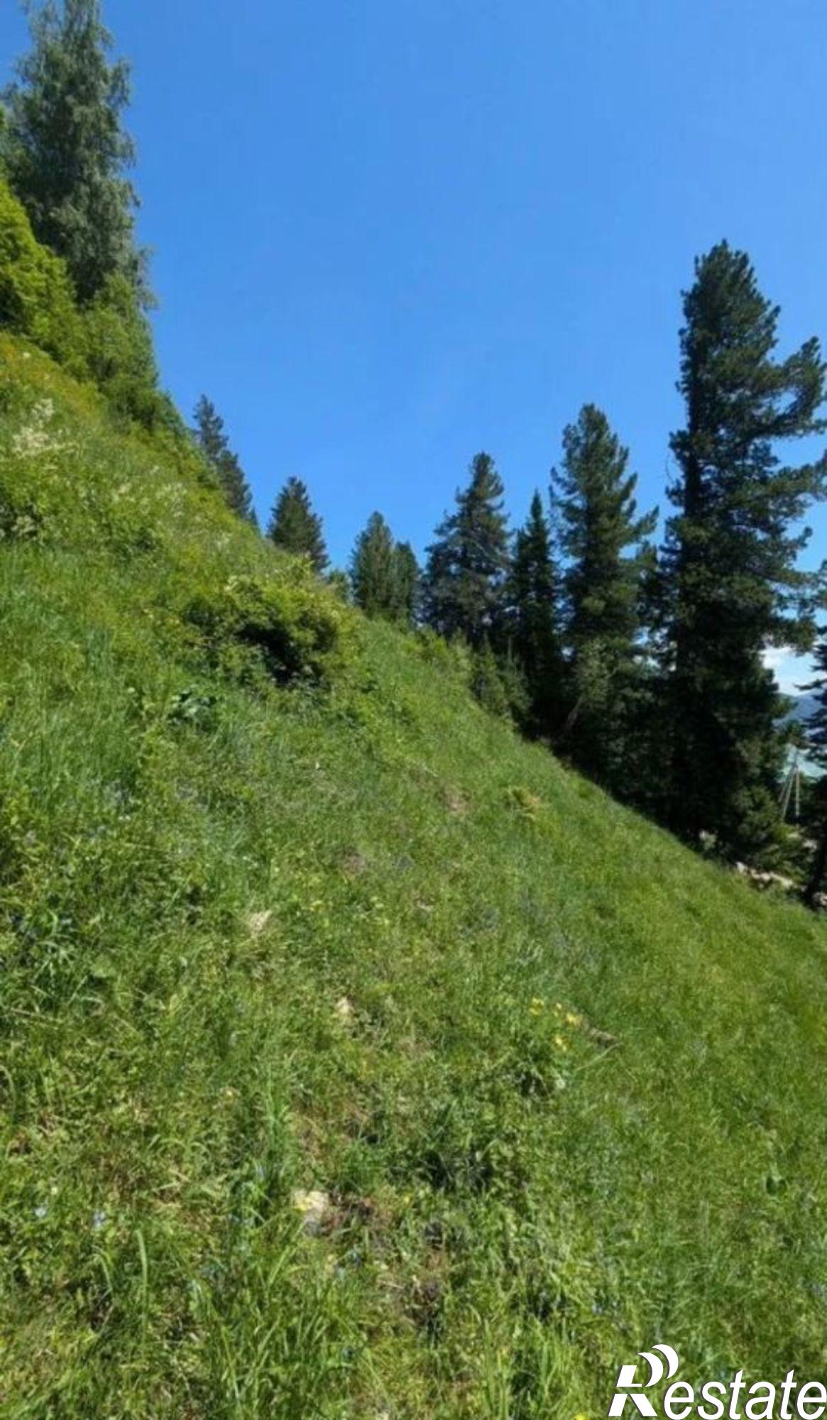 Купить землю, земельный участок за 4 600 000 рублей на Турочакский район