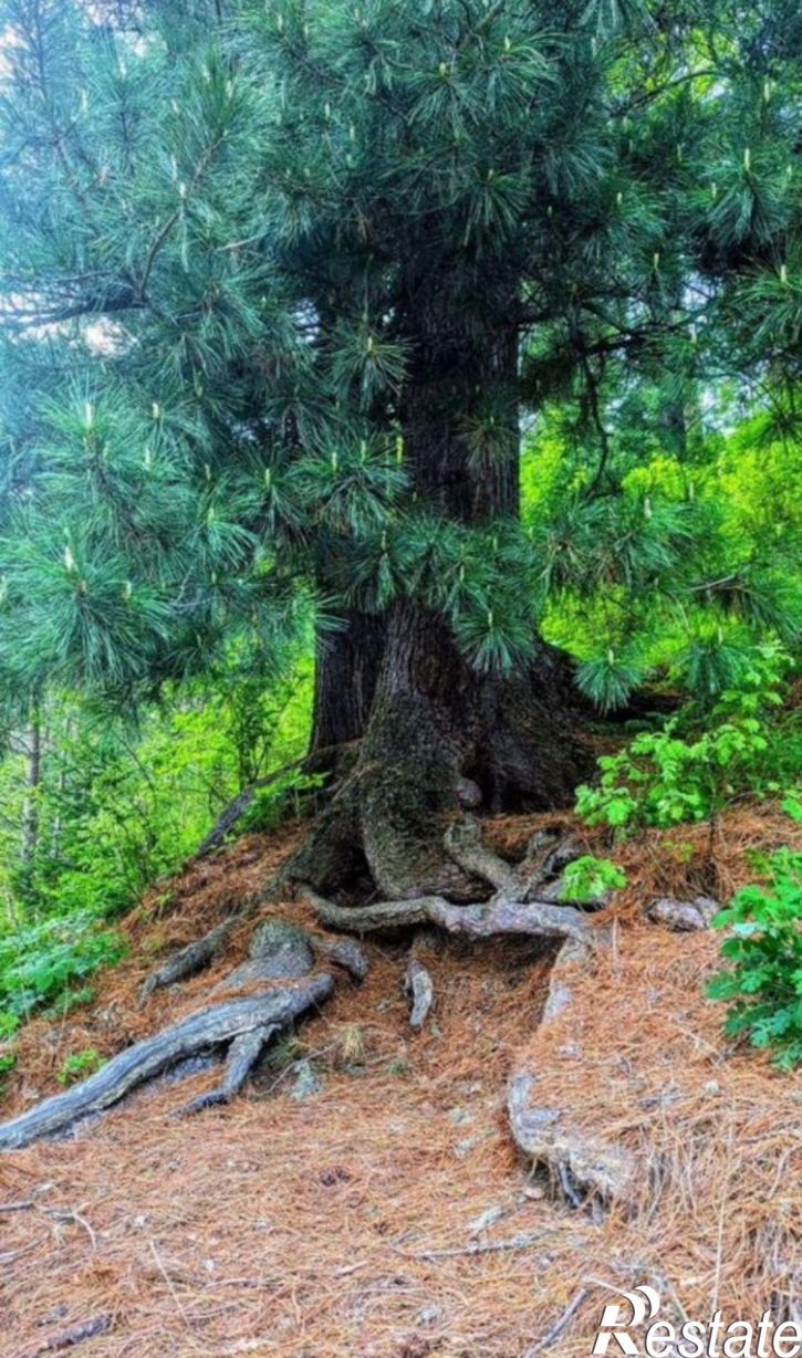 Земельный участок Турочакский район