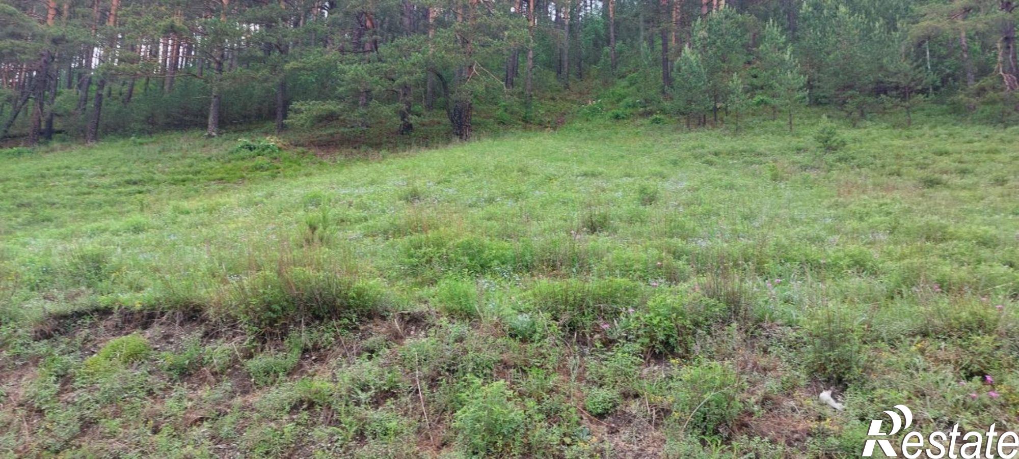 Купить землю, земельный участок за 1 000 000 рублей на Чемальский район