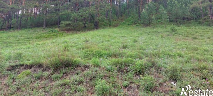 Земельный участок Чемальский район