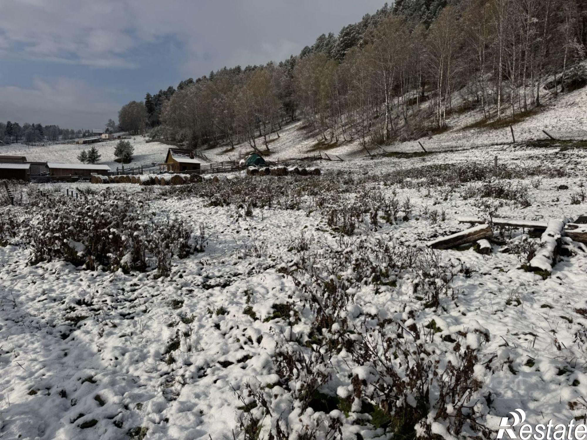Купить землю, земельный участок за 2 100 000 рублей на Чемальский район