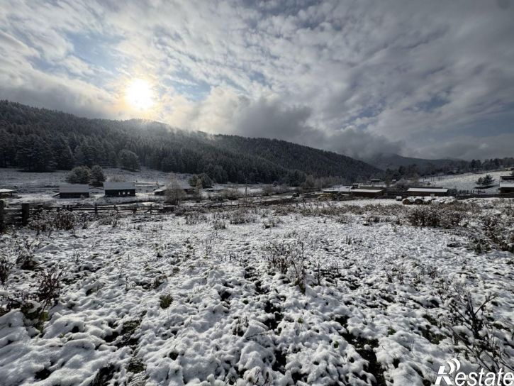 Земельный участок Чемальский район