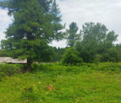 земля 19.6 сот Турочакский район