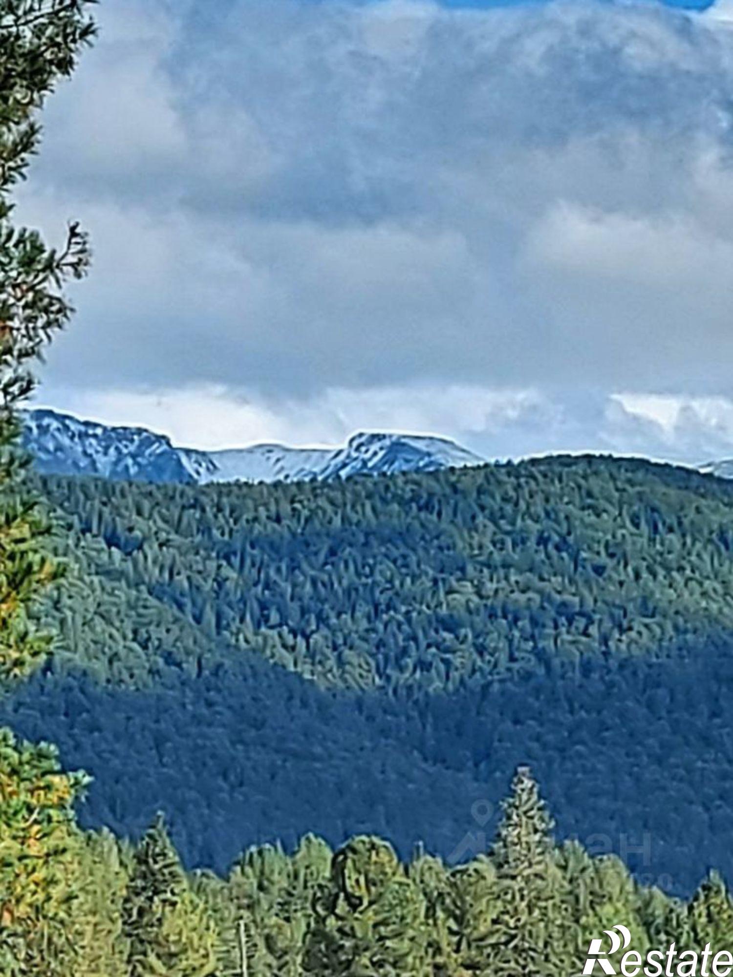 Купить землю, земельный участок за 9 500 000 рублей на Чемальский район