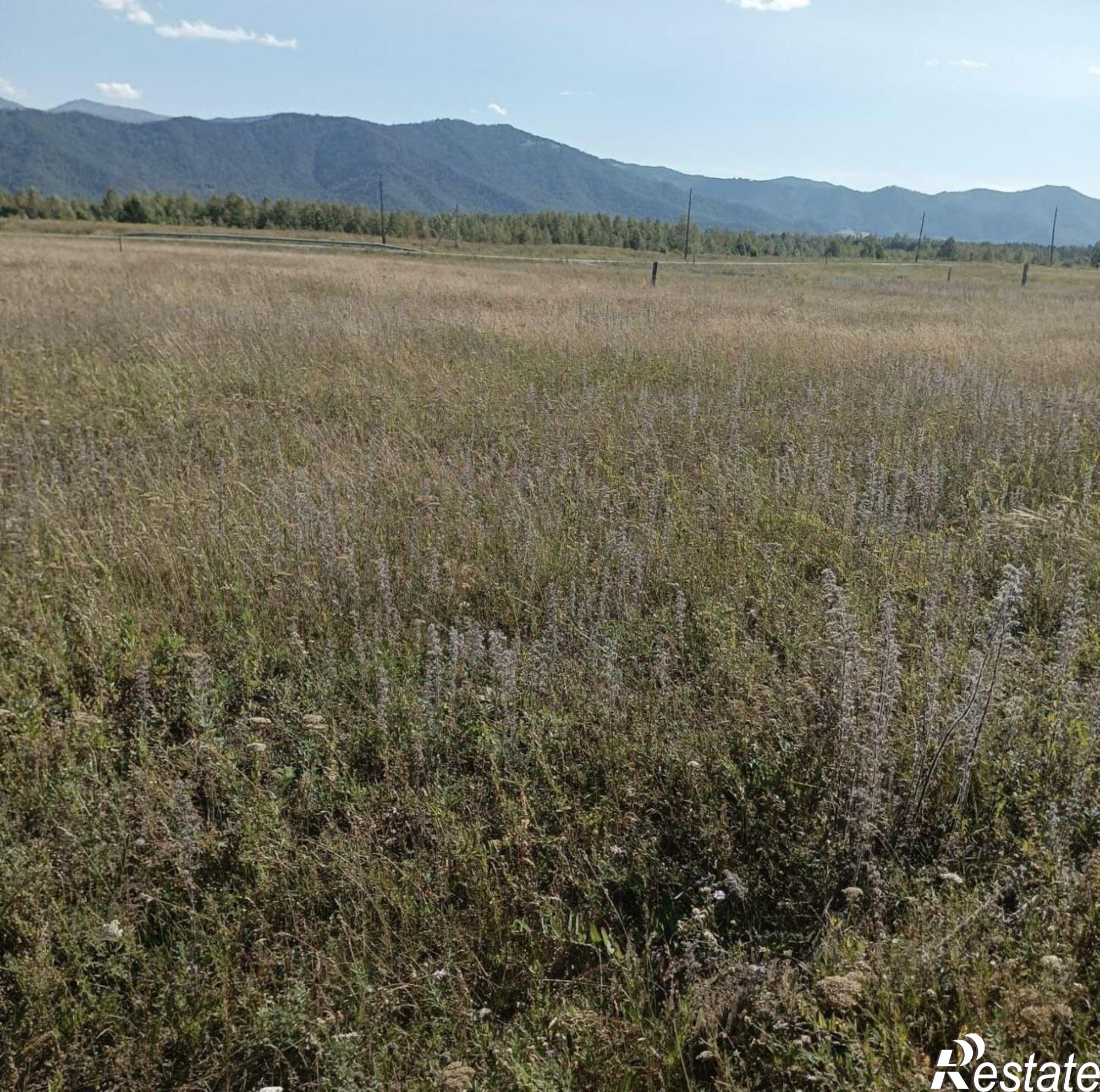 Купить землю, земельный участок за 650 000 рублей на Усть-Коксинский район