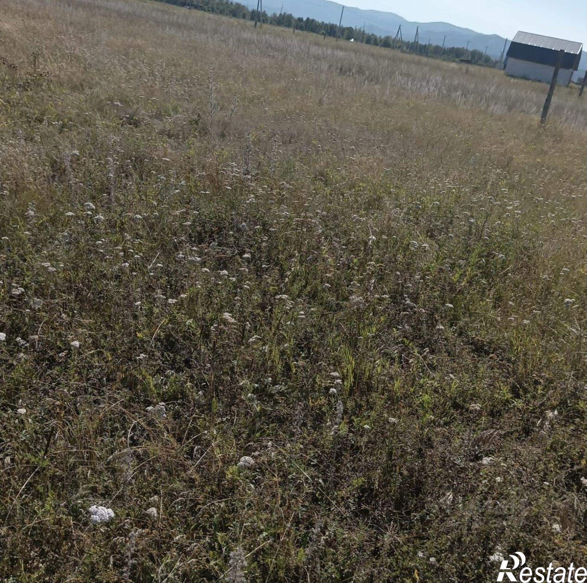 Купить землю, земельный участок за 650 000 рублей на Усть-Коксинский район