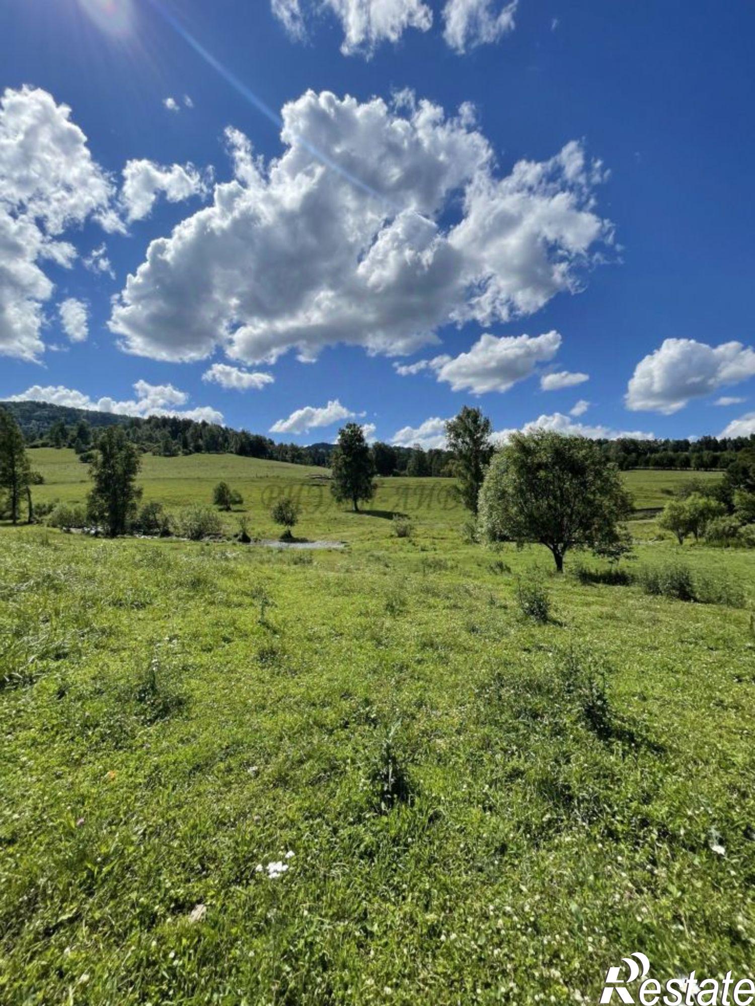 Купить производственную площадь за 20 000 200 рублей на Майминский район, Александровка с.