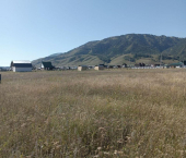 земля 14 сот Усть-Коксинский район