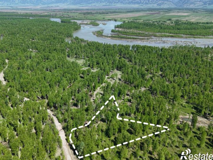 Земельный участок Усть-Коксинский район