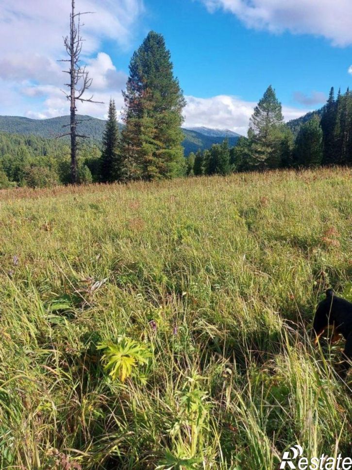 Земельный участок Чемальский район