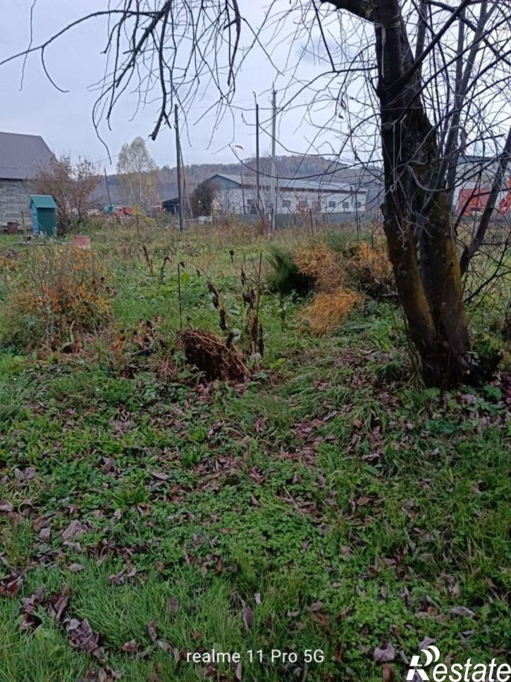 Коттедж/дом село Чоя