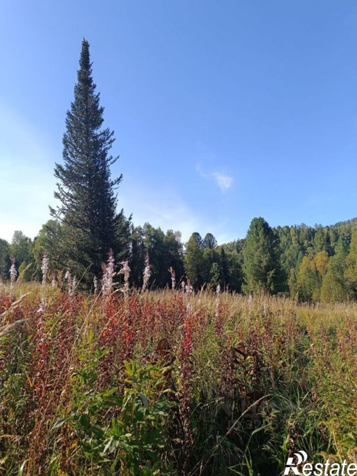 Земельный участок Чемальский район