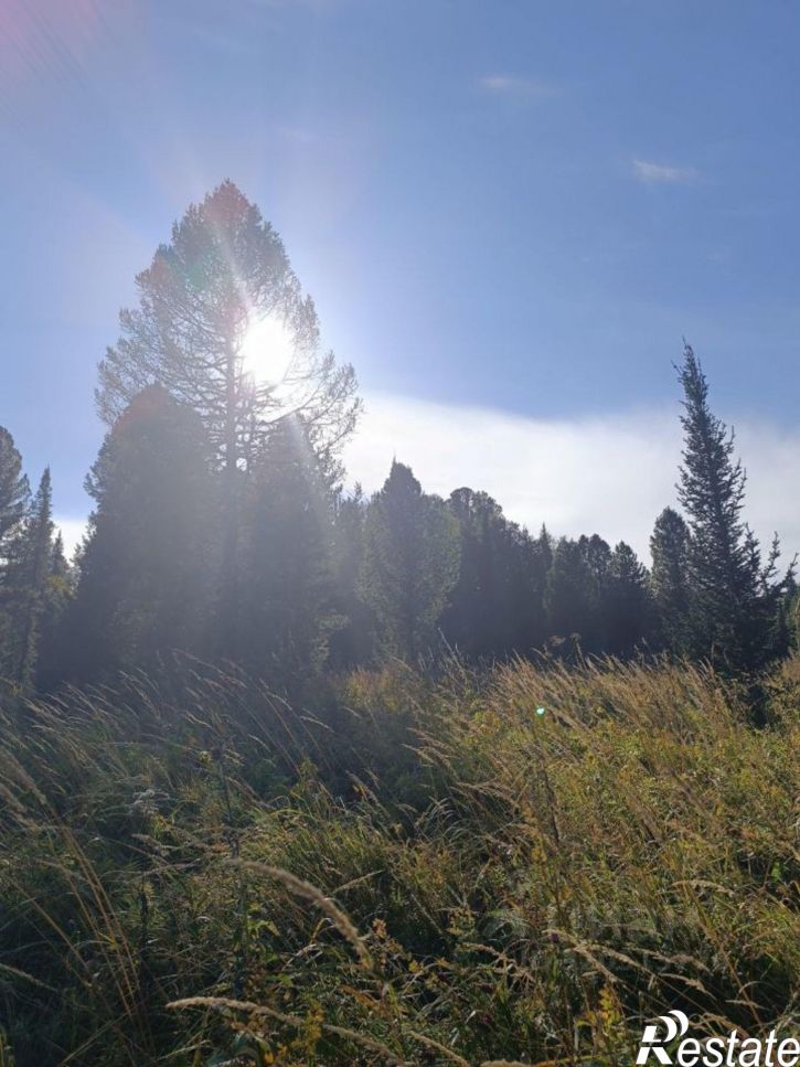 Земельный участок Чемальский район