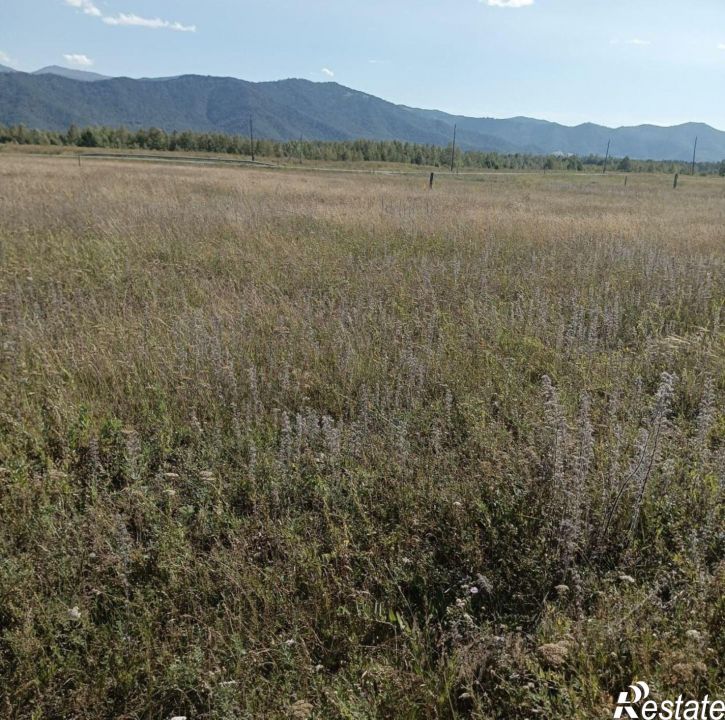 Земельный участок Усть-Коксинский район