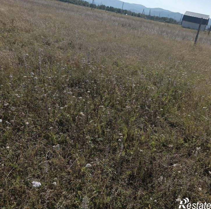 Земельный участок Усть-Коксинский район