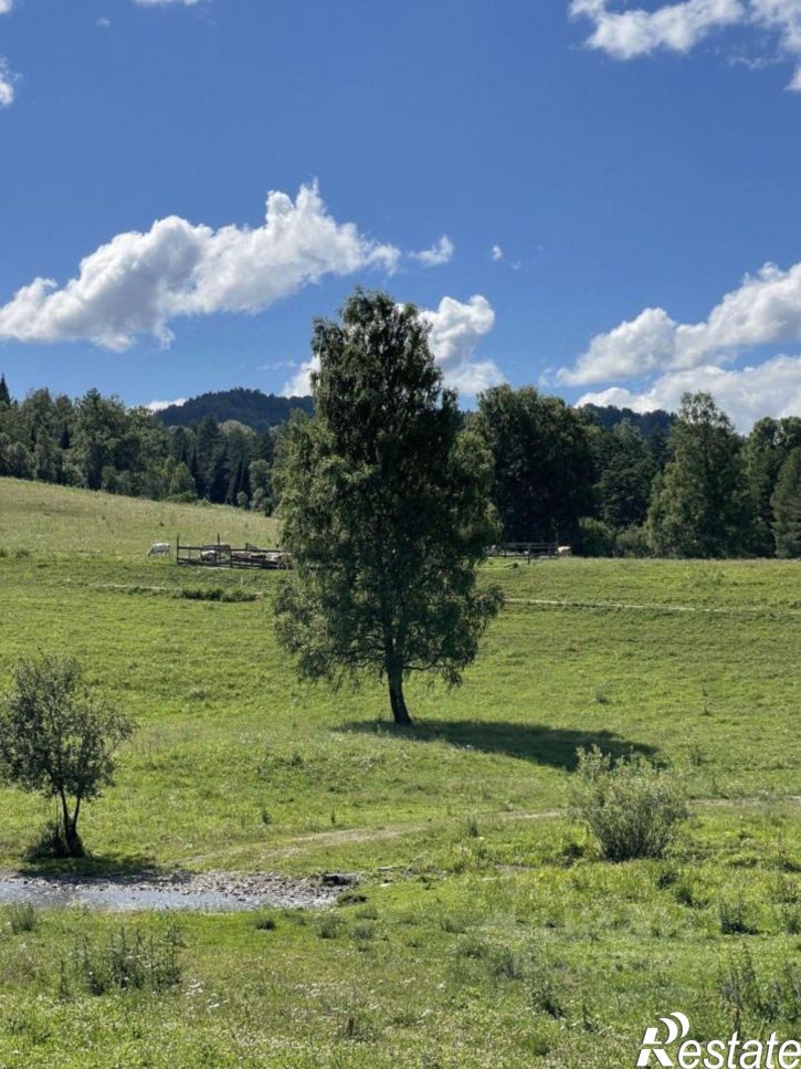 Производственное помещение Майминский район, Александровка с.