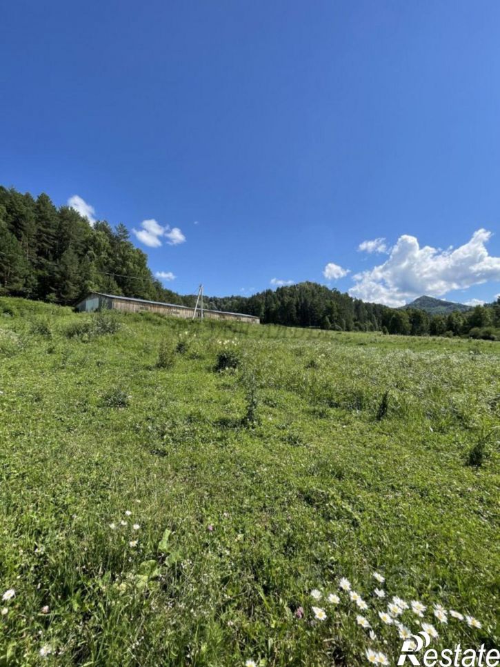 Производственное помещение Майминский район, Александровка с.