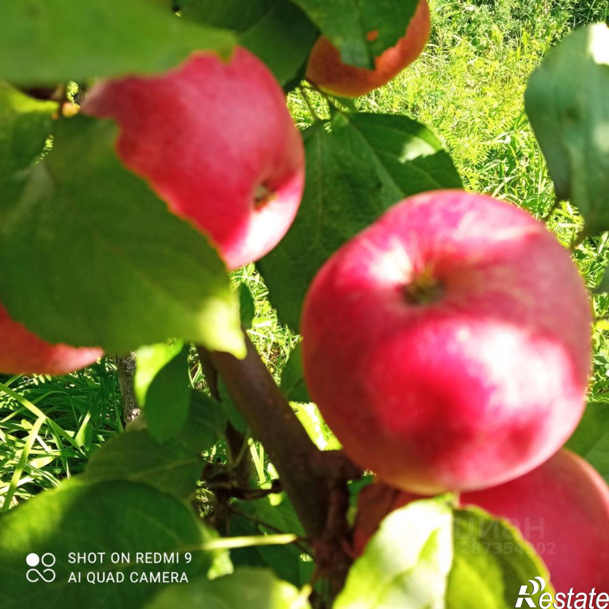 Сдать дачу, дом, коттедж за 7 000 рублей на Курортная улица, 19