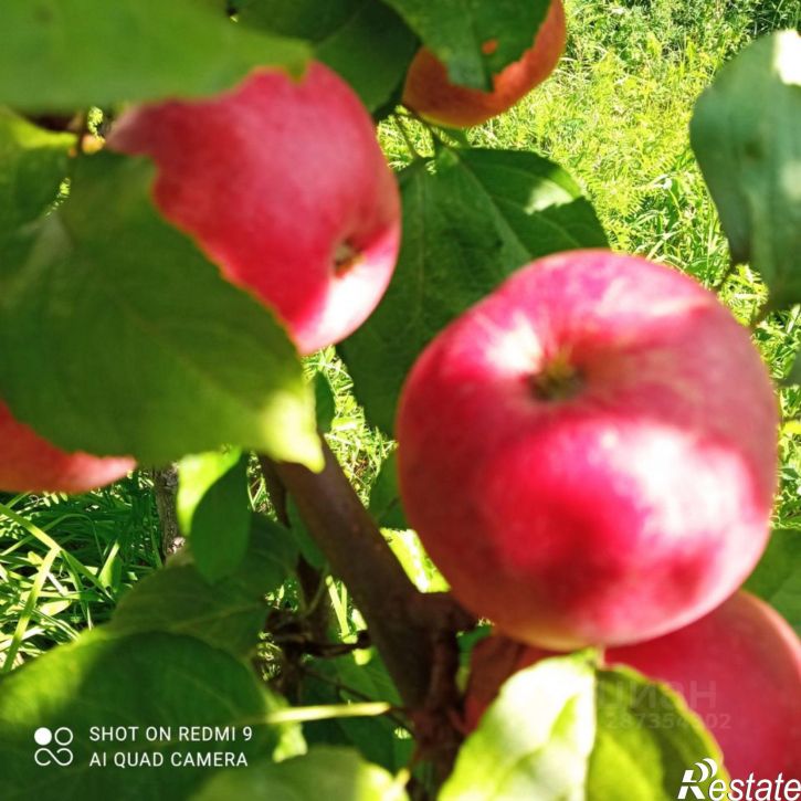 Коттедж/дом Курортная улица, 19,  д. 19