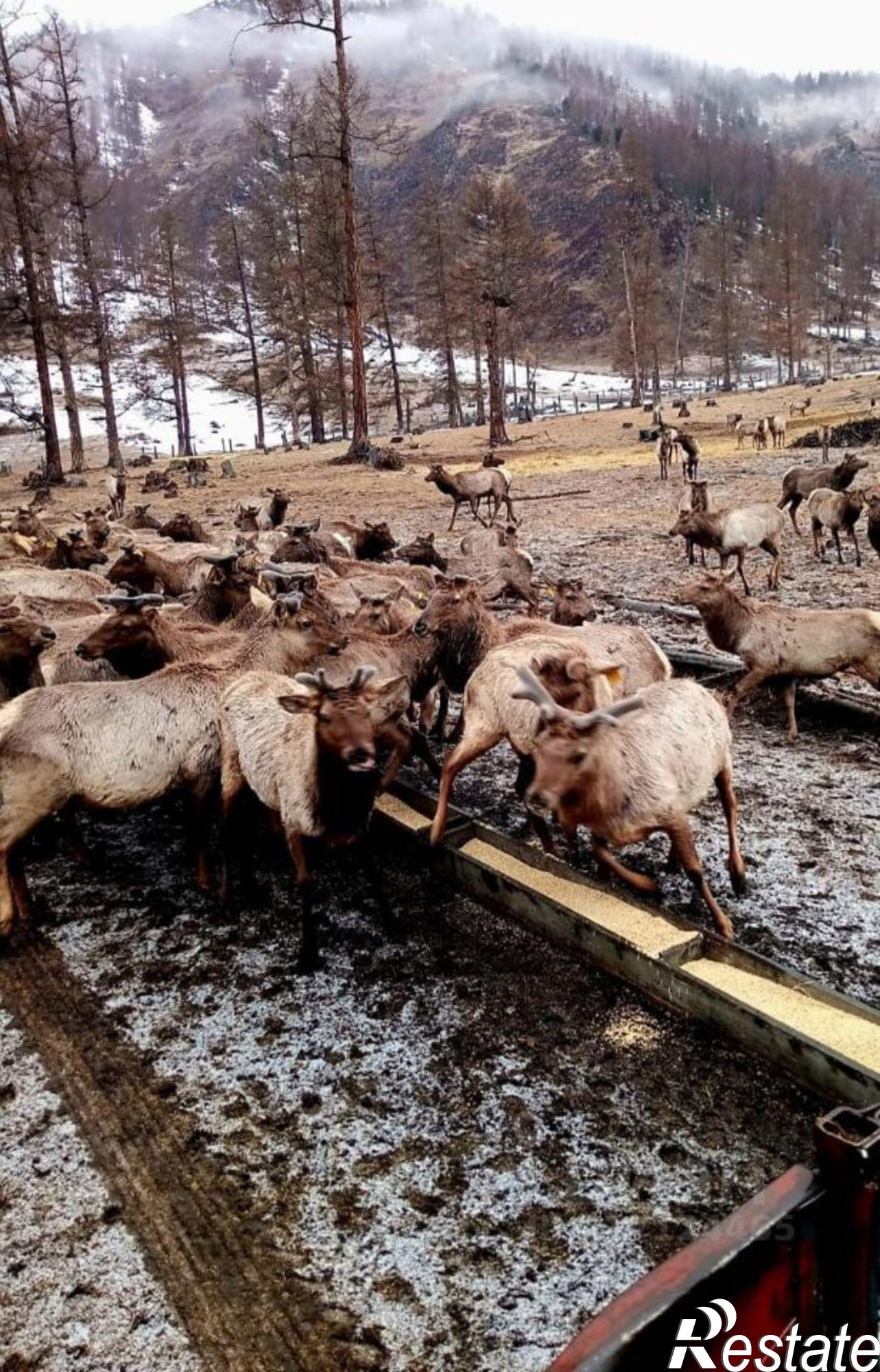 Купить производственную площадь за 812 000 000 рублей на ул Советская, 147