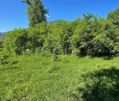 земля 10 сот ул Центральная, 41