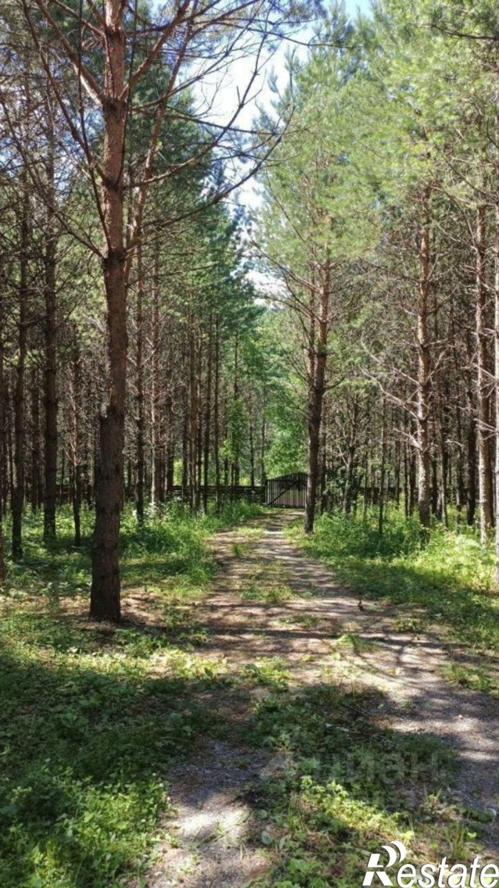 Коттедж/дом Чемальский район