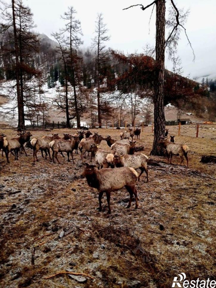 Производственное помещение ул Советская, 147,  д. 147