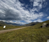 земля 60 сот Чемальский район