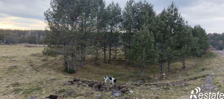 Земельный участок Турочакский район