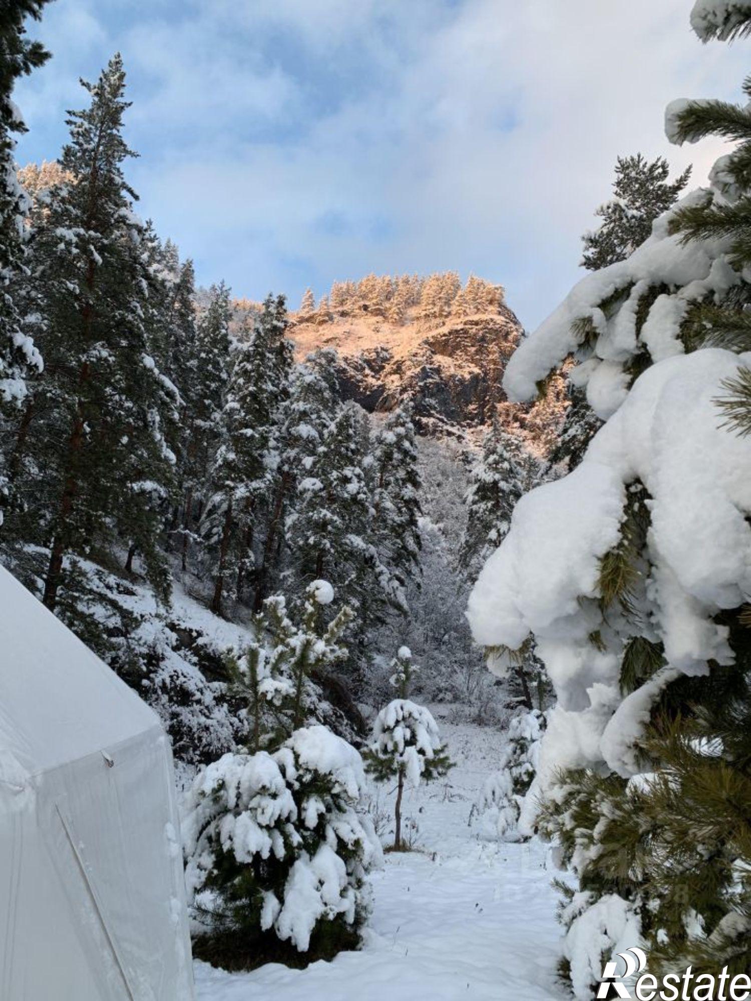 Купить землю, земельный участок за 45 600 000 рублей на Майминский район