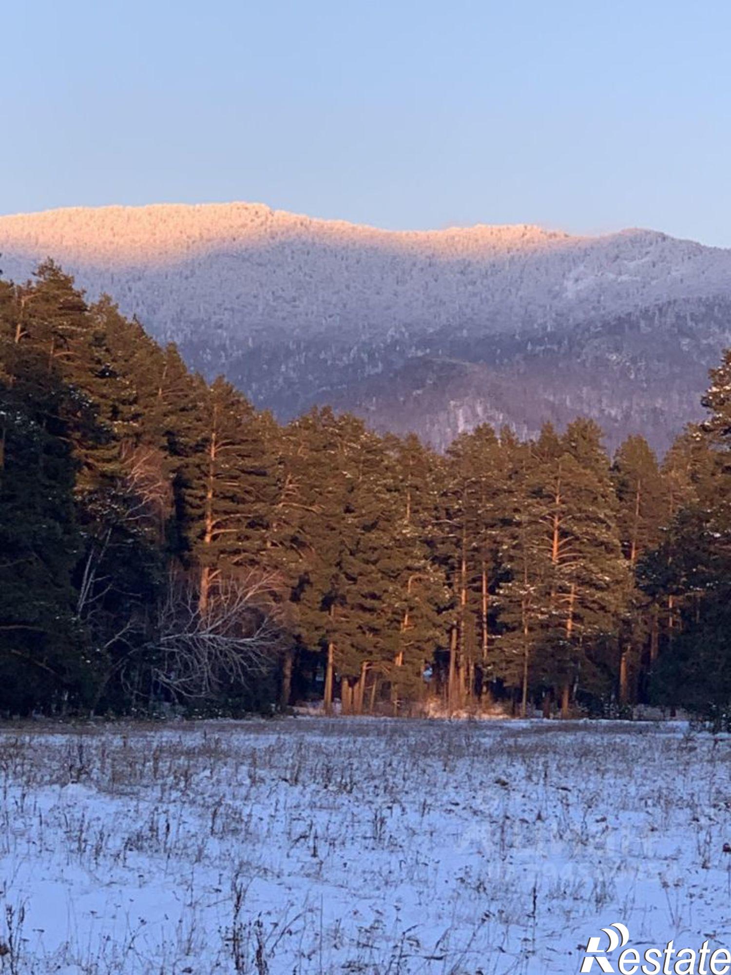 Купить землю, земельный участок за 45 600 000 рублей на Майминский район