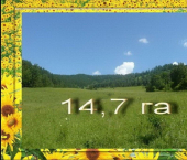 земля 1470 сот Чемальский район