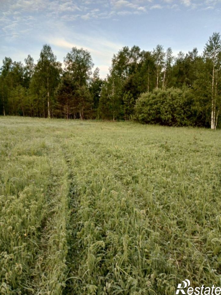 Земельный участок Чойский район