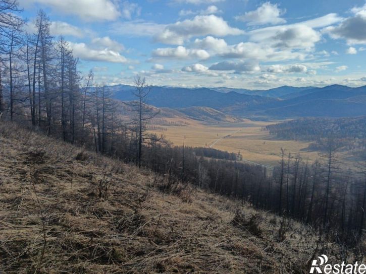 Земельный участок Шебалинский район