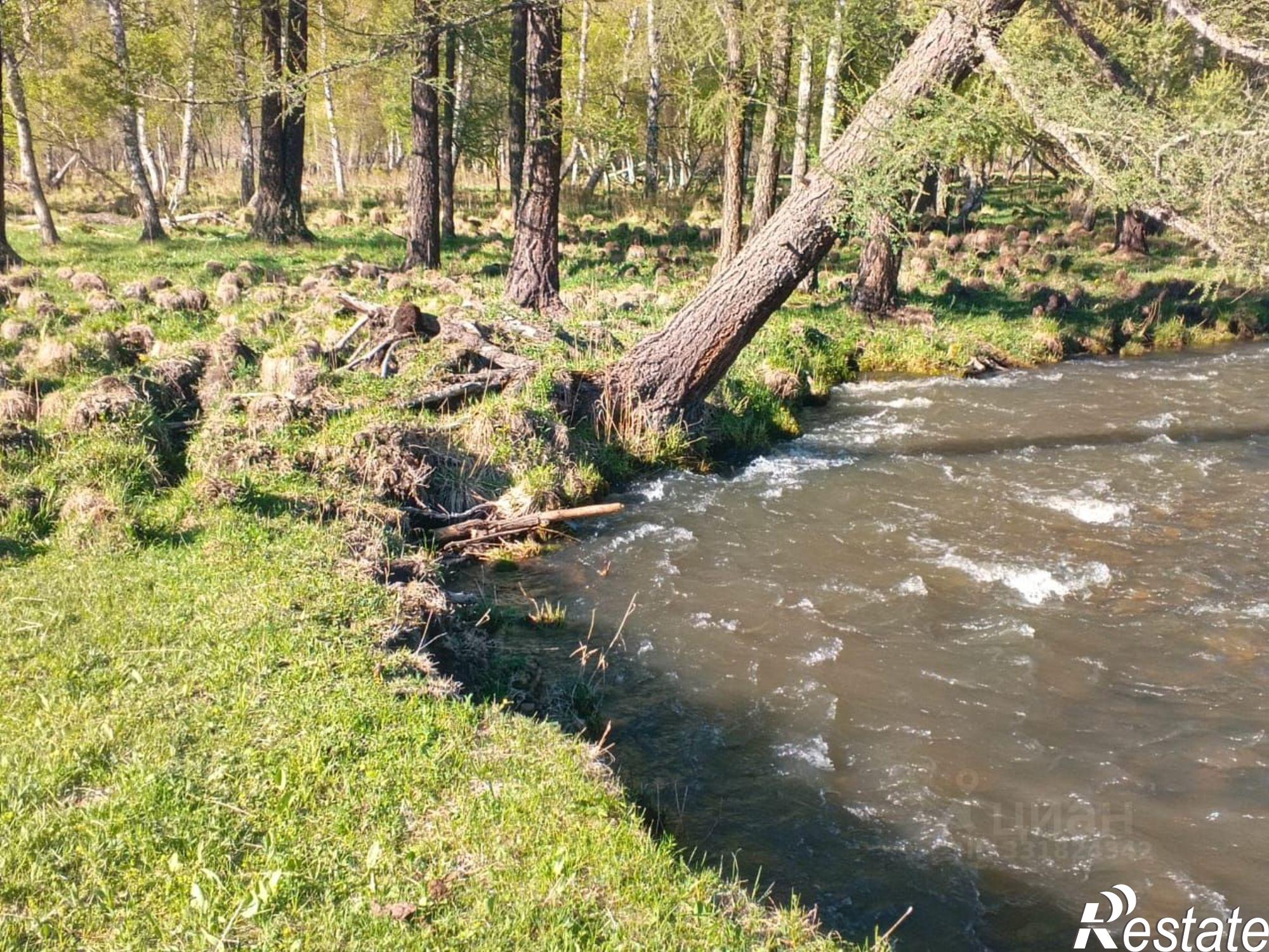 Купить землю, земельный участок за 15 000 000 рублей на Шебалинский район
