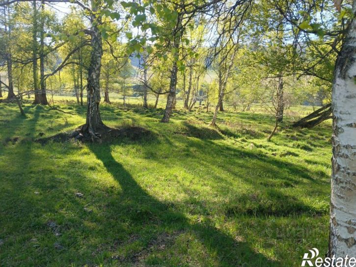 Земельный участок Шебалинский район