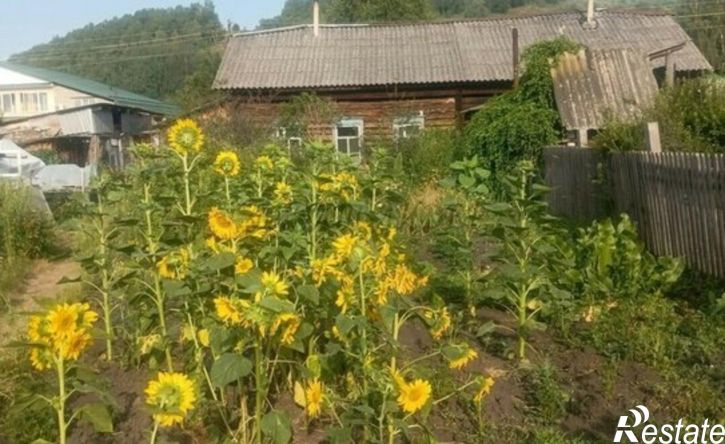 2-комн квартира ул Алгаирская, 3,  д. 3