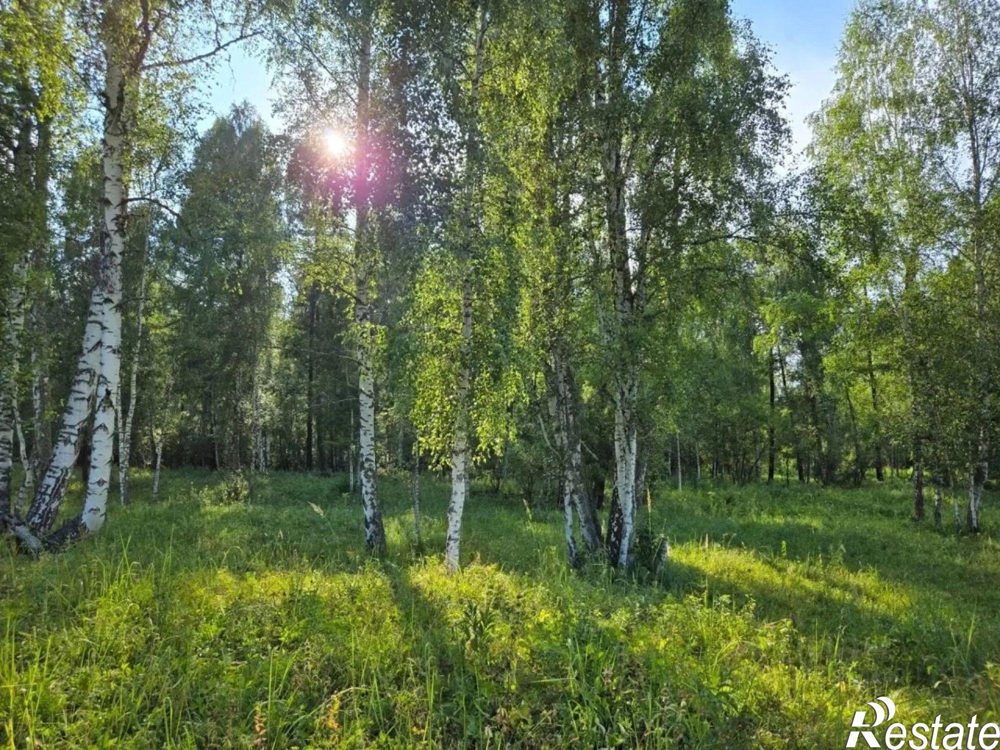 Купить землю, земельный участок за 15 000 000 рублей на ул Школьная