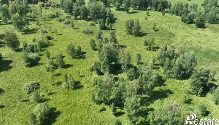 Земельный участок Чемальский район