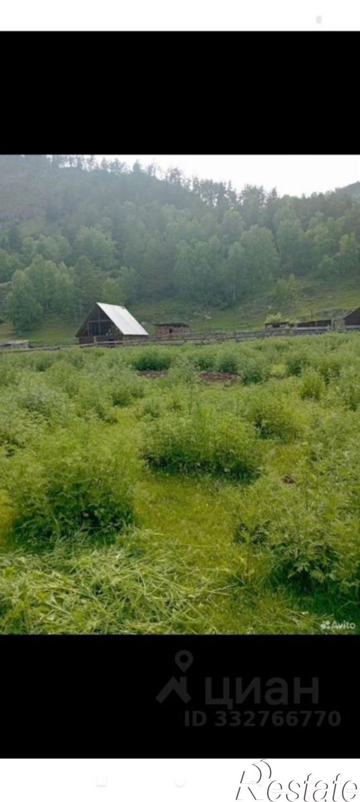Земельный участок Чемальский район, село Аюла