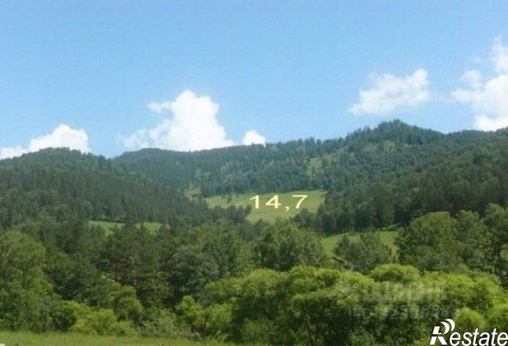 Земельный участок Чемальский район