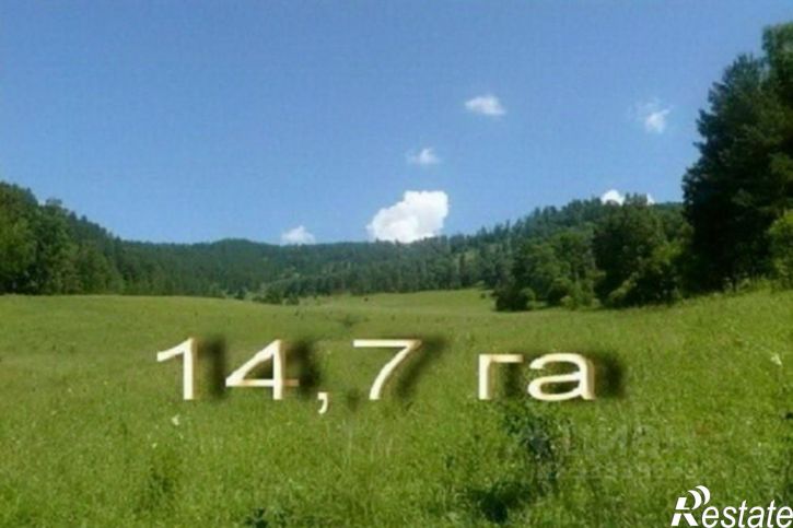 Земельный участок Чемальский район
